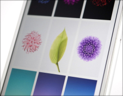 iPhoneの液晶